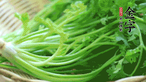 挑選鮮嫩的香菜，洗干凈后，處理成小段。